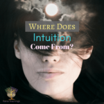 Where Does Intuition Come From Raina Teachings Where Does Intuition Come From Raina Teachings